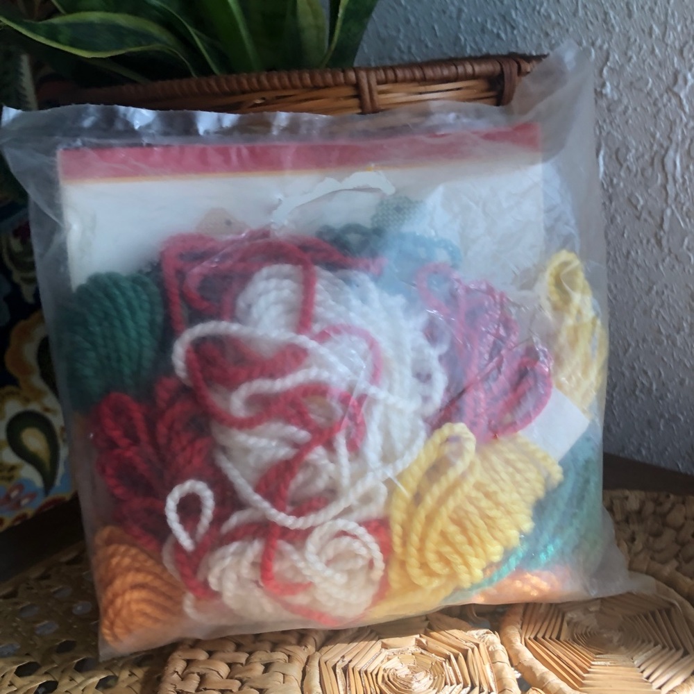 New Old Stock Quick Shape Plastic Canvas Fossils Kit - Picture 10 of 10